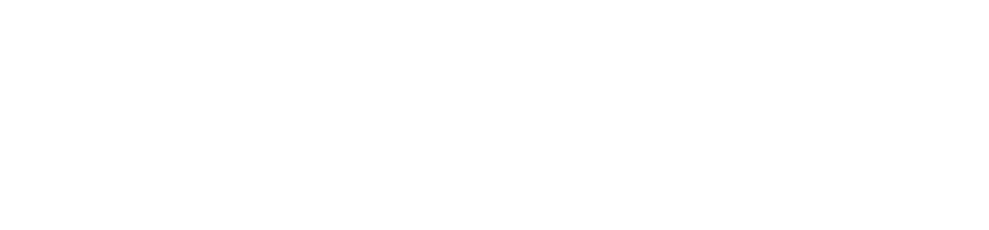 logo fundacion
