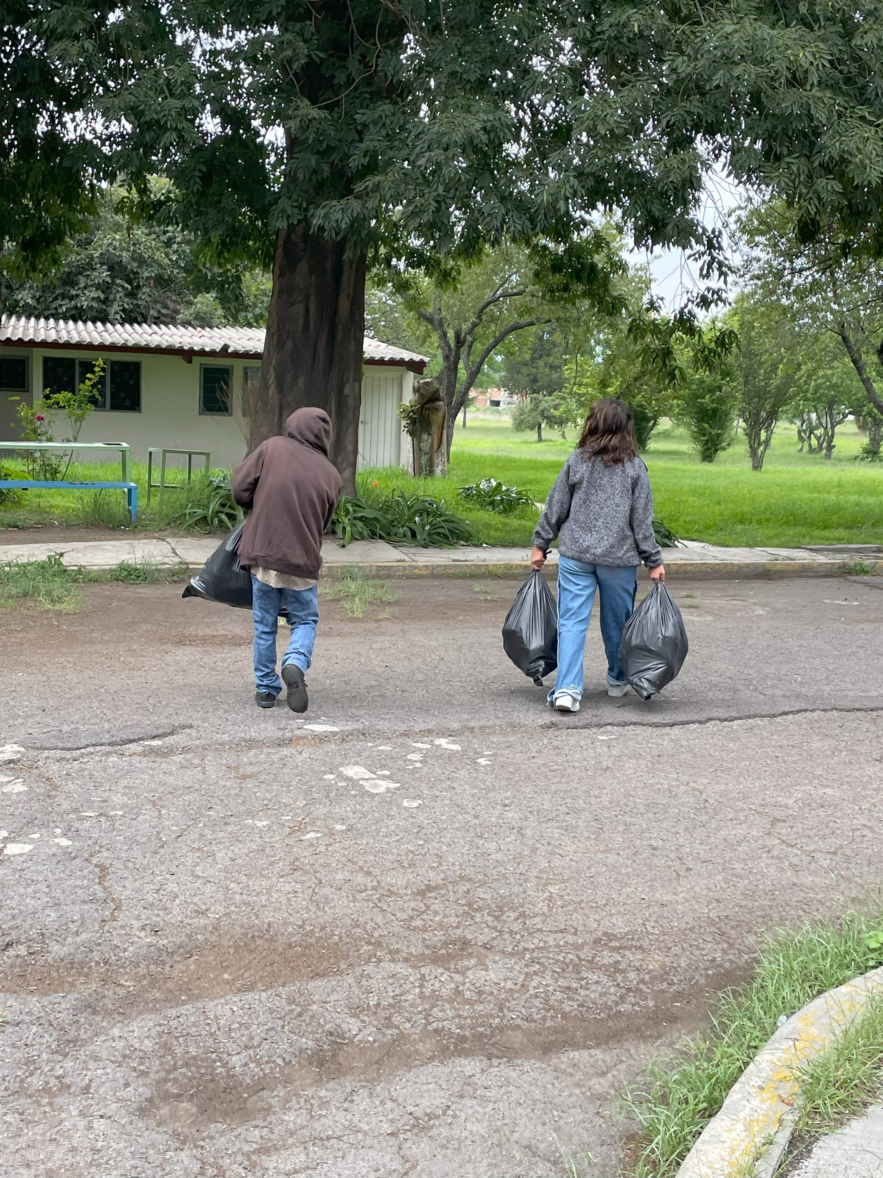 imagen1